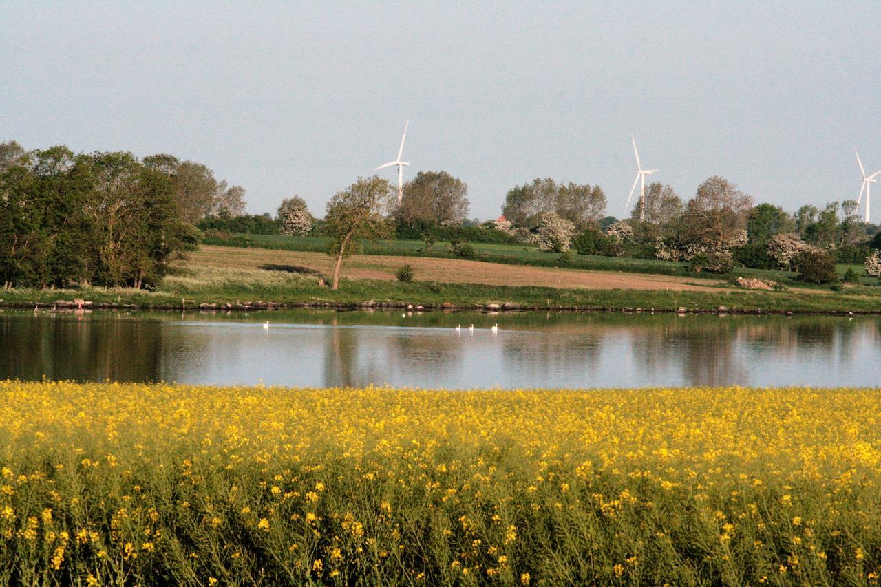 Ferielejlighed Pa Rodkaergard Lägenhet Kerteminde Exteriör bild